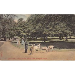 Rare collectable postcards of ENGLAND. Vintage Postcards of ENGLAND