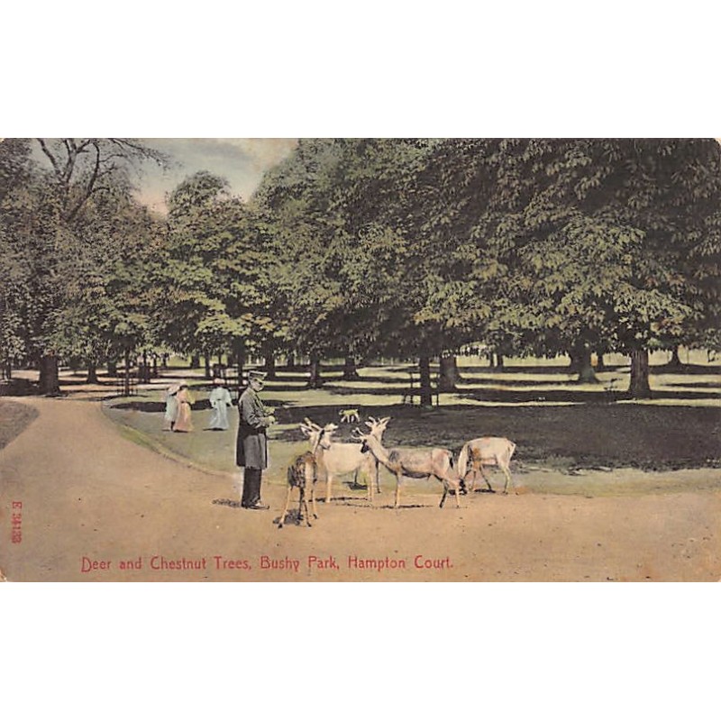 Rare collectable postcards of ENGLAND. Vintage Postcards of ENGLAND