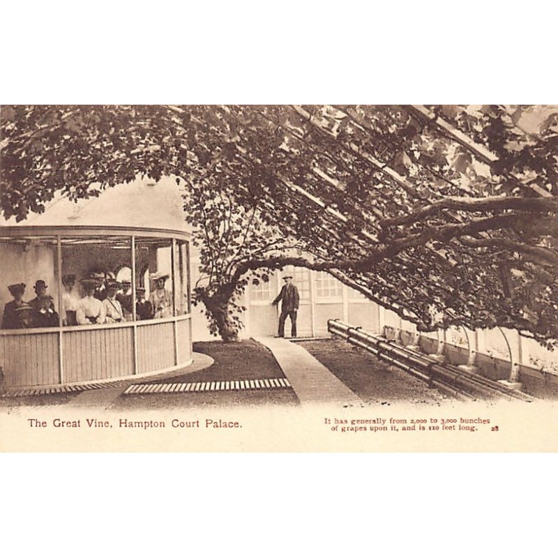 Rare collectable postcards of ENGLAND. Vintage Postcards of ENGLAND