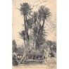 Rare collectable postcards of MAROC. Vintage Postcards of MAROC