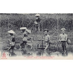 Rare collectable postcards of VIETNAM VIET-NAM. Vintage Postcards of VIETNAM VIET-NAM