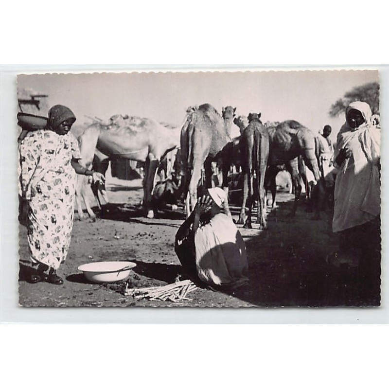 Rare collectable postcards of CHAD. Vintage Postcards of CHAD