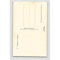 Rare collectable postcards of CHAD. Vintage Postcards of CHAD