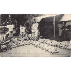 Rare collectable postcards of GUINEA CONAKRY. Vintage Postcards of GUINEA CONAKRY