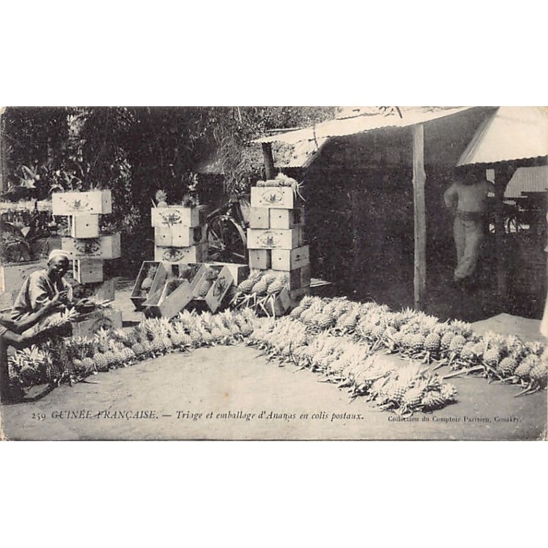Rare collectable postcards of GUINEA CONAKRY. Vintage Postcards of GUINEA CONAKRY