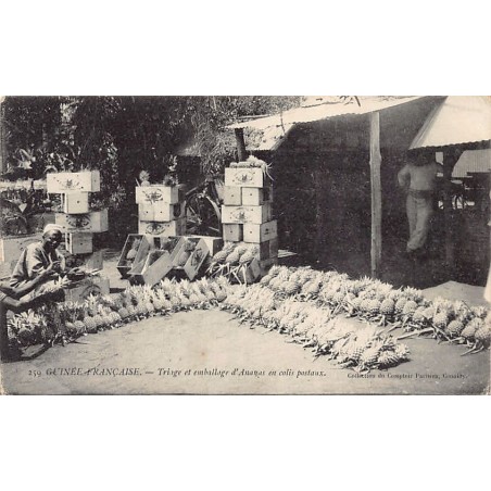 Rare collectable postcards of GUINEA CONAKRY. Vintage Postcards of GUINEA CONAKRY