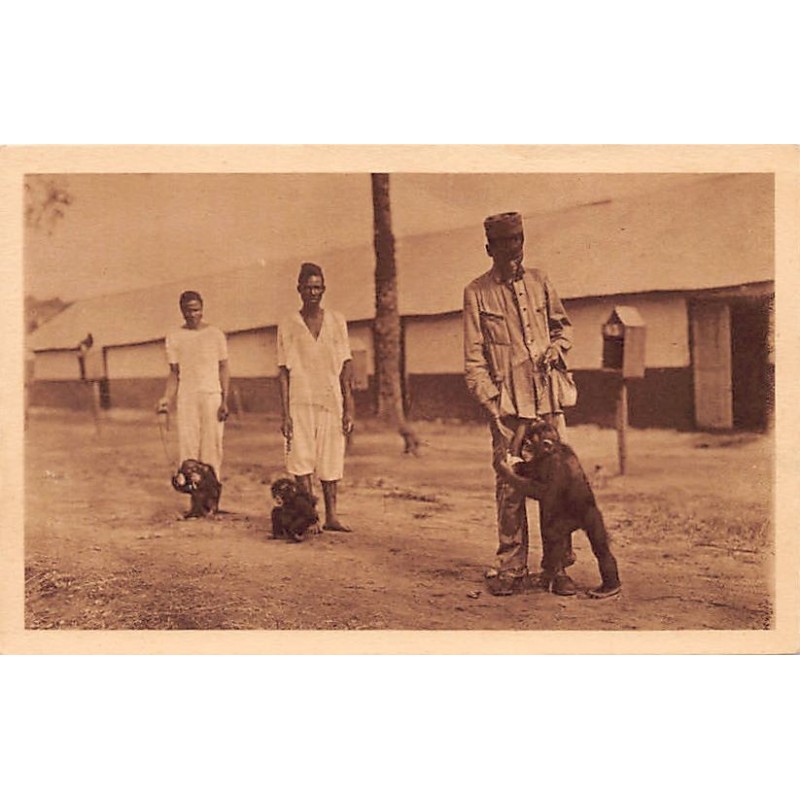 Rare collectable postcards of GUINEA CONAKRY. Vintage Postcards of GUINEA CONAKRY