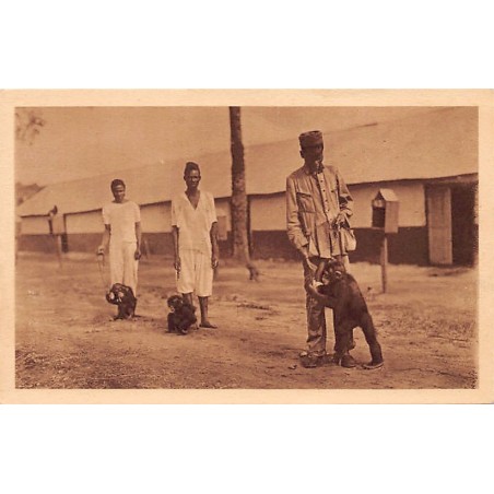 Rare collectable postcards of GUINEA CONAKRY. Vintage Postcards of GUINEA CONAKRY