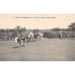 Rare collectable postcards of CENTRAL AFRICAN REPUBLIC. Vintage Postcards of CENTRAL AFRICAN REPUBLIC