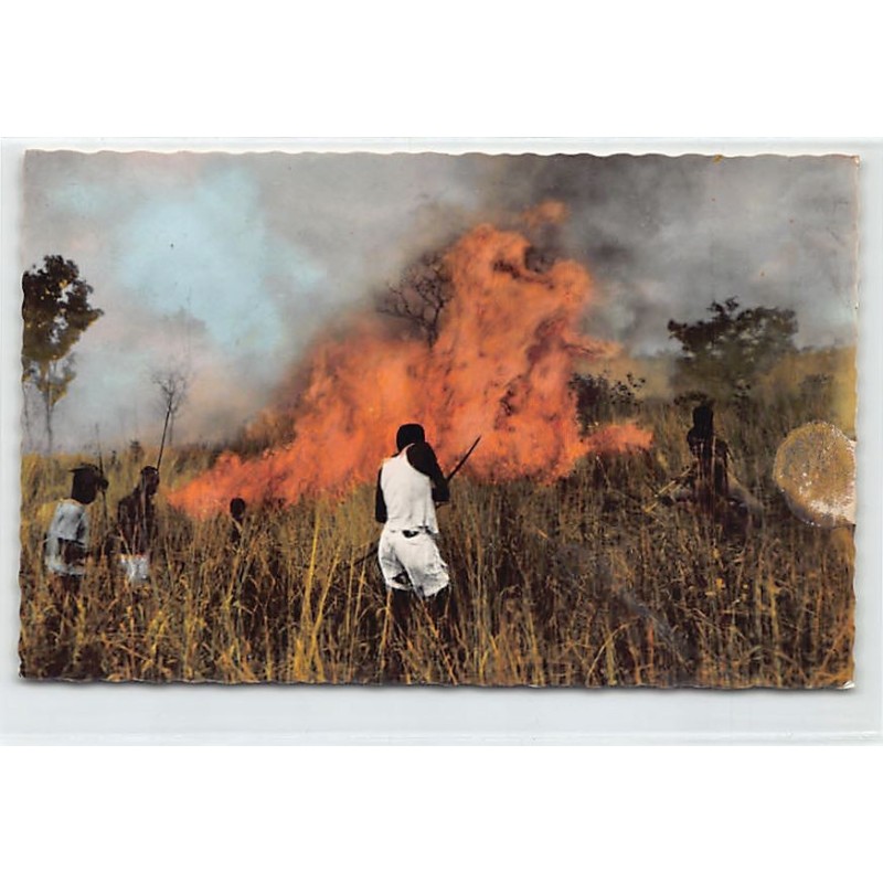 Rare collectable postcards of CENTRAL AFRICAN REPUBLIC. Vintage Postcards of CENTRAL AFRICAN REPUBLIC