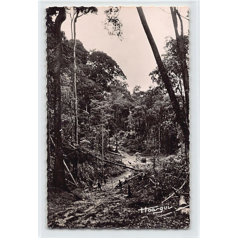 Rare collectable postcards of CENTRAL AFRICAN REPUBLIC. Vintage Postcards of CENTRAL AFRICAN REPUBLIC