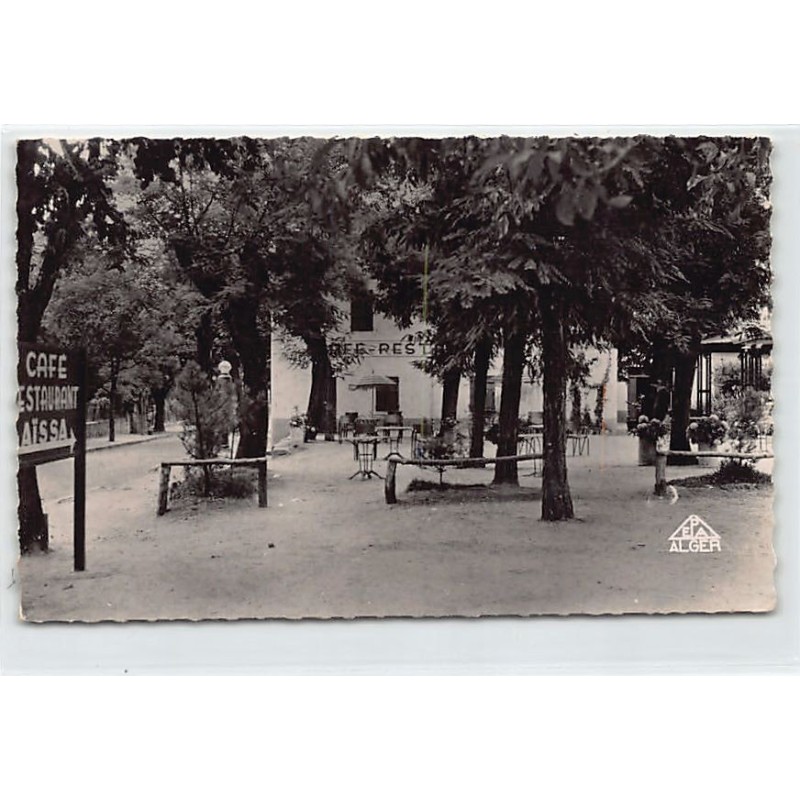 Rare collectable postcards of ALGERIA Algérie. Vintage Postcards of ALGERIA Algérie