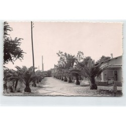Rare collectable postcards of ALGERIA Algérie. Vintage Postcards of ALGERIA Algérie