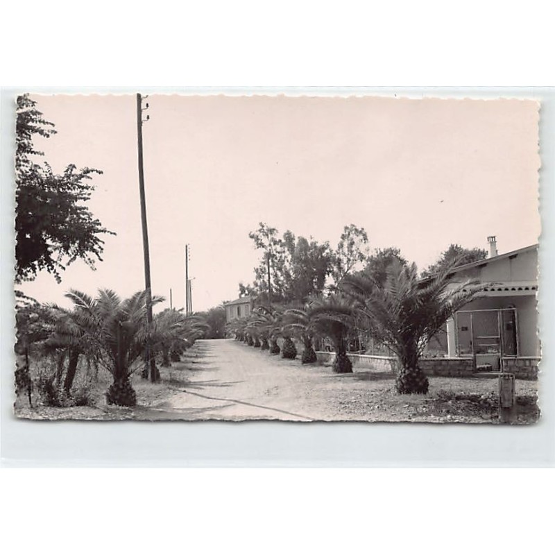 Rare collectable postcards of ALGERIA Algérie. Vintage Postcards of ALGERIA Algérie