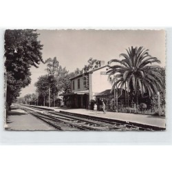 Rare collectable postcards of ALGERIA Algérie. Vintage Postcards of ALGERIA Algérie