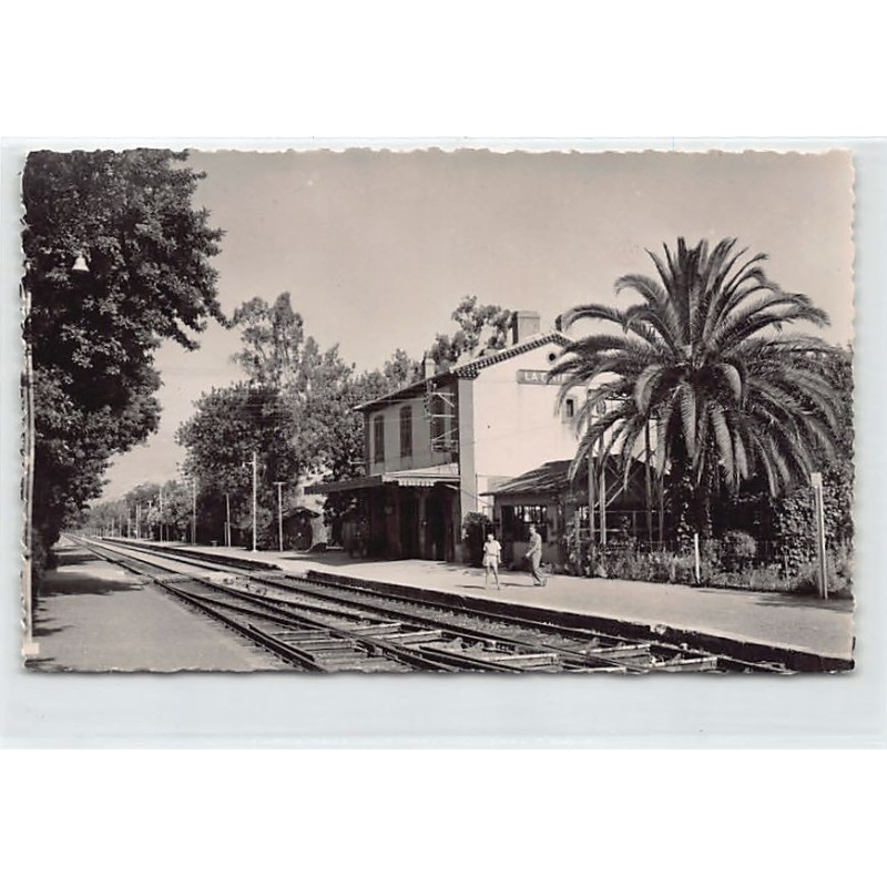 Rare collectable postcards of ALGERIA Algérie. Vintage Postcards of ALGERIA Algérie