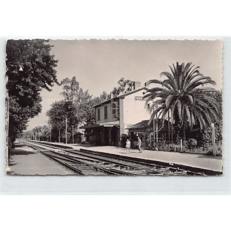 Rare collectable postcards of ALGERIA Algérie. Vintage Postcards of ALGERIA Algérie