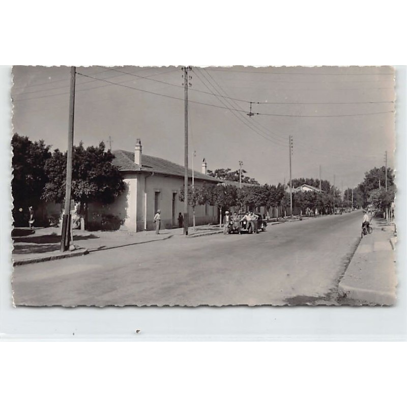 Rare collectable postcards of ALGERIA Algérie. Vintage Postcards of ALGERIA Algérie