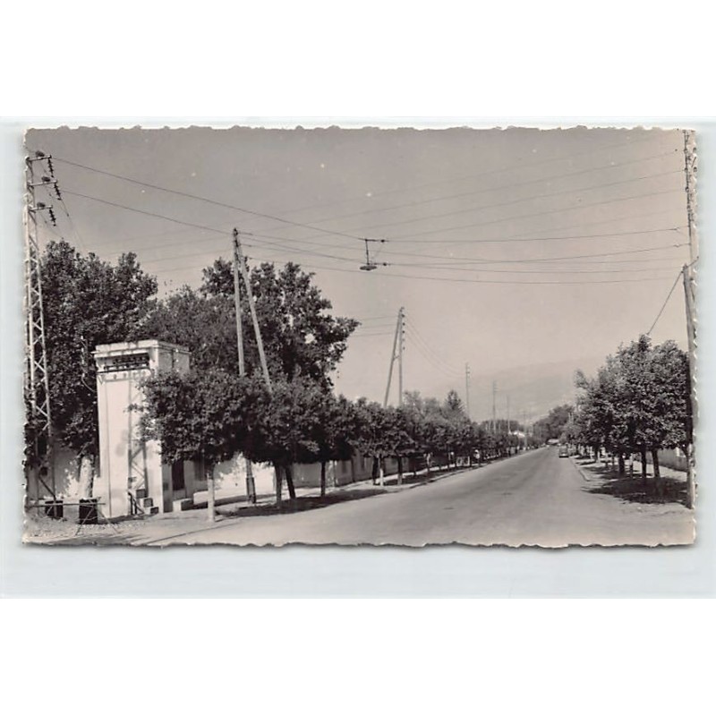 Rare collectable postcards of ALGERIA Algérie. Vintage Postcards of ALGERIA Algérie