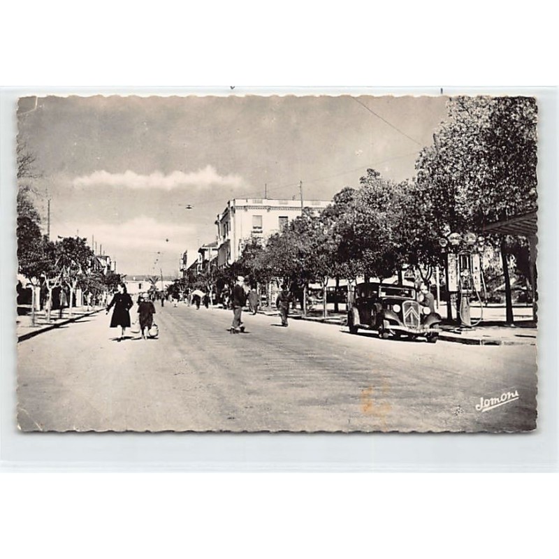 Rare collectable postcards of ALGERIA Algérie. Vintage Postcards of ALGERIA Algérie