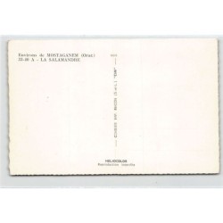 Rare collectable postcards of ALGERIA Algérie. Vintage Postcards of ALGERIA Algérie