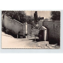 Rare collectable postcards of ALGERIA Algérie. Vintage Postcards of ALGERIA Algérie