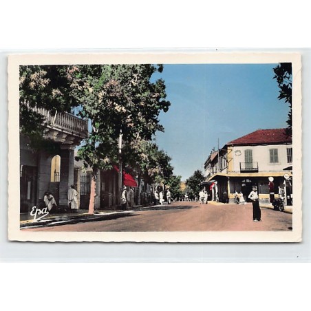 Rare collectable postcards of ALGERIA Algérie. Vintage Postcards of ALGERIA Algérie