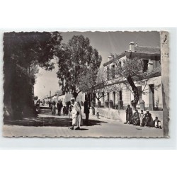 Rare collectable postcards of ALGERIA Algérie. Vintage Postcards of ALGERIA Algérie