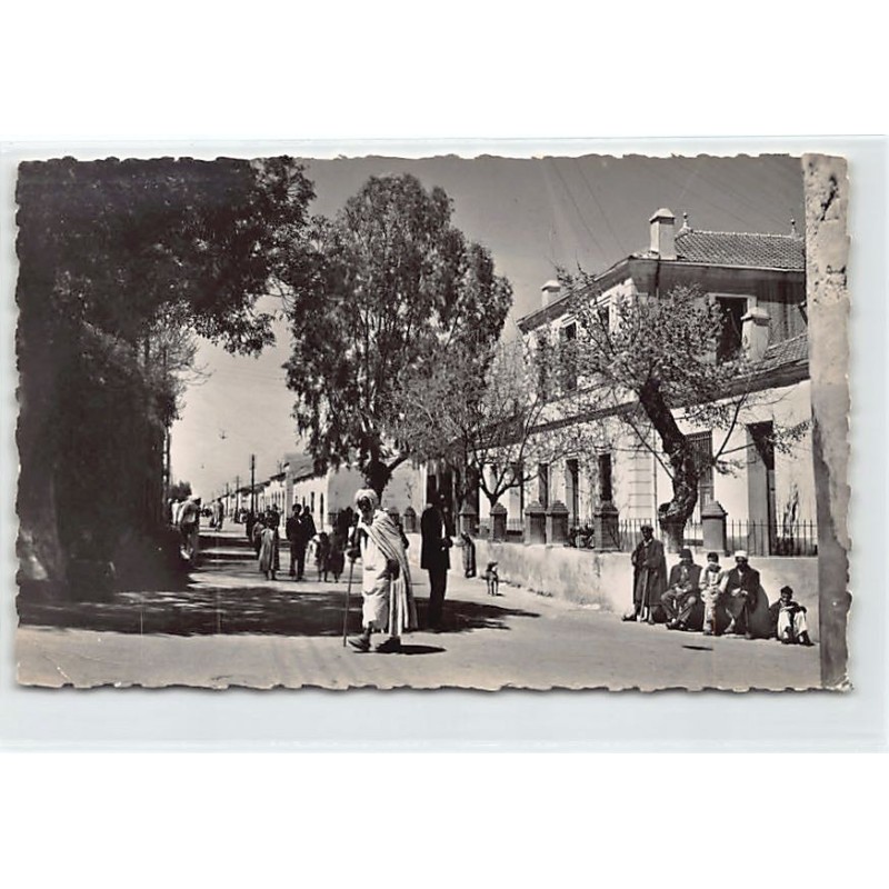 Rare collectable postcards of ALGERIA Algérie. Vintage Postcards of ALGERIA Algérie
