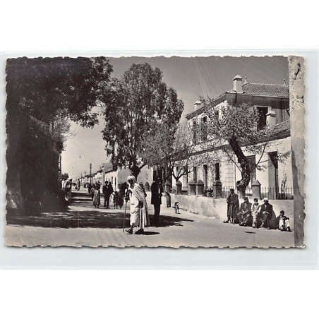Rare collectable postcards of ALGERIA Algérie. Vintage Postcards of ALGERIA Algérie