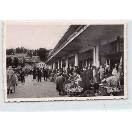 Rare collectable postcards of ALGERIA Algérie. Vintage Postcards of ALGERIA Algérie