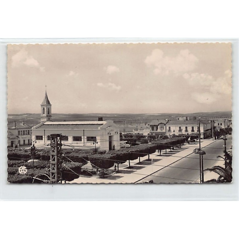 Rare collectable postcards of ALGERIA Algérie. Vintage Postcards of ALGERIA Algérie