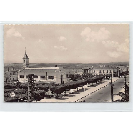 Rare collectable postcards of ALGERIA Algérie. Vintage Postcards of ALGERIA Algérie