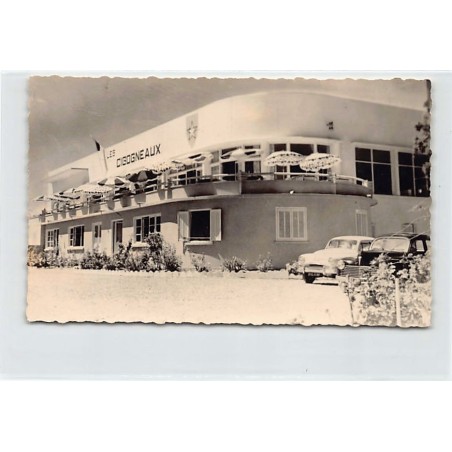 Rare collectable postcards of ALGERIA Algérie. Vintage Postcards of ALGERIA Algérie