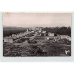 Rare collectable postcards of ALGERIA Algérie. Vintage Postcards of ALGERIA Algérie