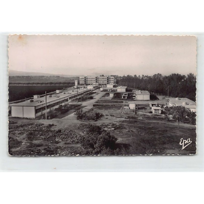 Rare collectable postcards of ALGERIA Algérie. Vintage Postcards of ALGERIA Algérie