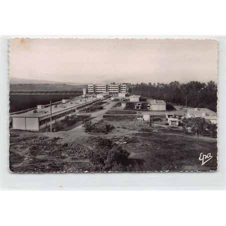 Rare collectable postcards of ALGERIA Algérie. Vintage Postcards of ALGERIA Algérie
