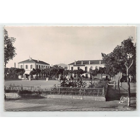 Rare collectable postcards of ALGERIA Algérie. Vintage Postcards of ALGERIA Algérie