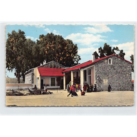 Rare collectable postcards of ALGERIA Algérie. Vintage Postcards of ALGERIA Algérie