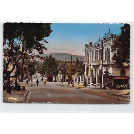 Rare collectable postcards of ALGERIA Algérie. Vintage Postcards of ALGERIA Algérie