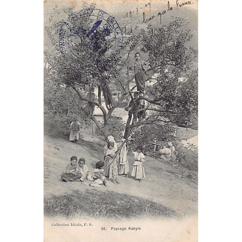 Rare collectable postcards of ALGERIA Algérie. Vintage Postcards of ALGERIA Algérie