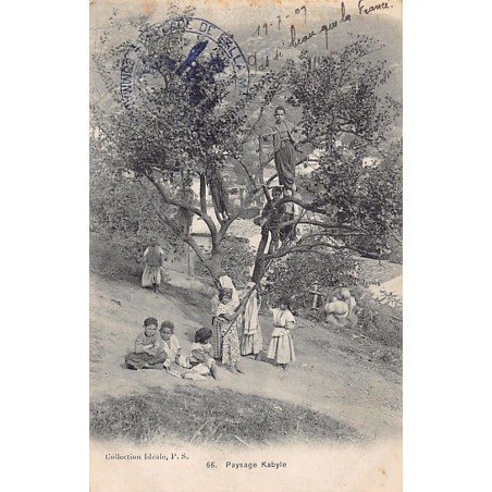 Rare collectable postcards of ALGERIA Algérie. Vintage Postcards of ALGERIA Algérie