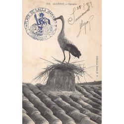 Rare collectable postcards of ALGERIA Algérie. Vintage Postcards of ALGERIA Algérie