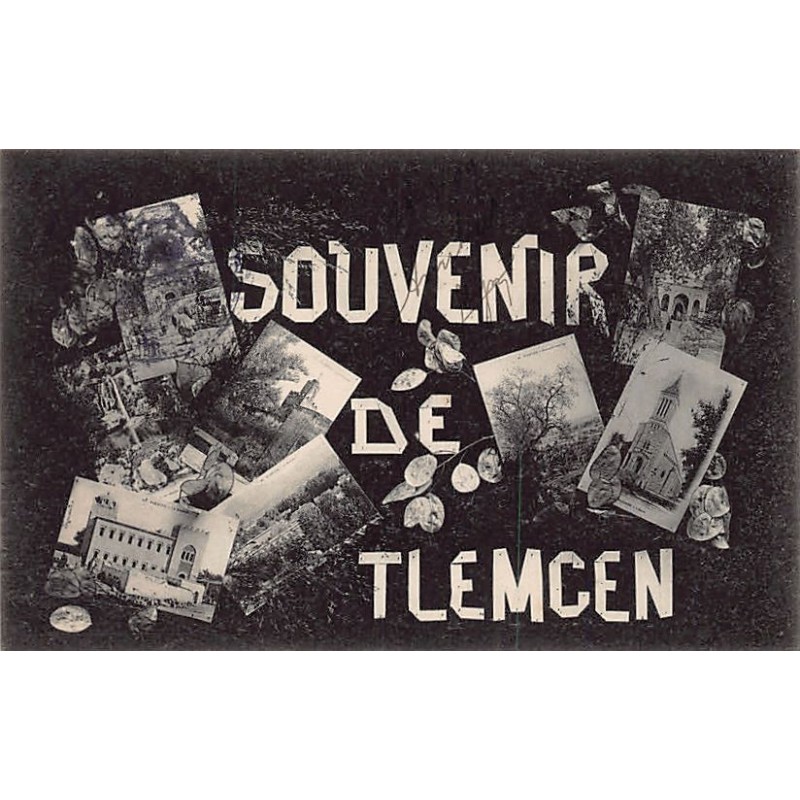 Rare collectable postcards of ALGERIA Algérie. Vintage Postcards of ALGERIA Algérie