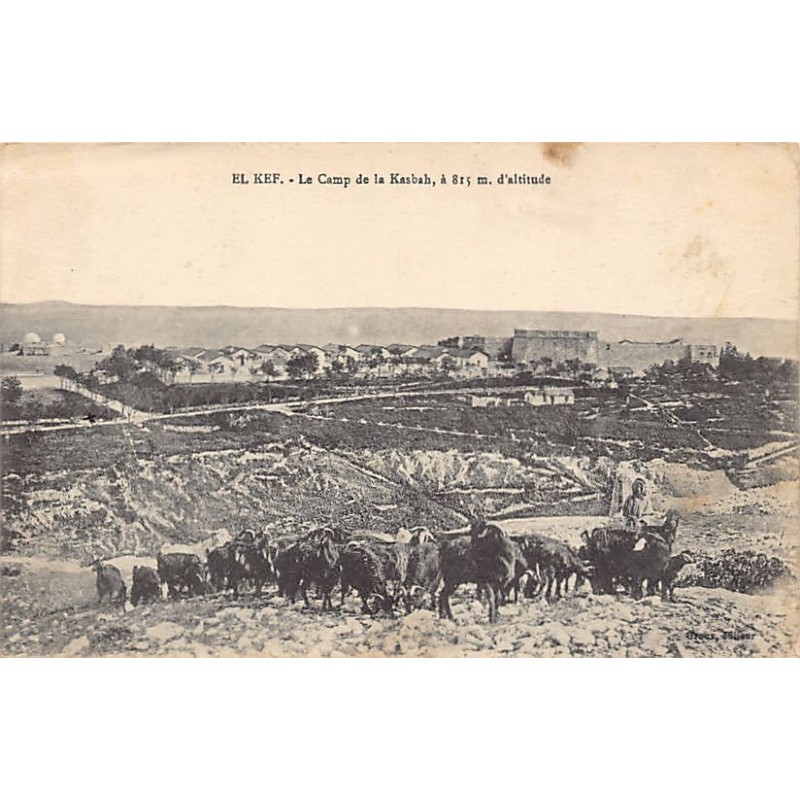 Rare collectable postcards of TUNISIE. Vintage Postcards of TUNISIE