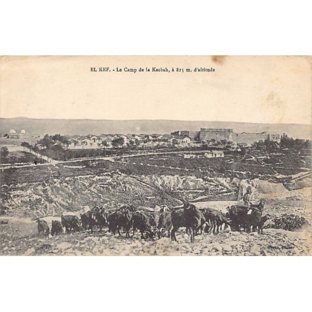 Rare collectable postcards of TUNISIE. Vintage Postcards of TUNISIE