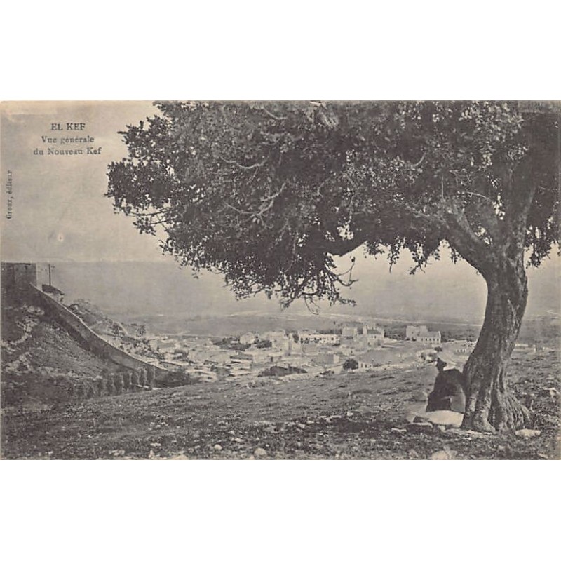 Rare collectable postcards of TUNISIE. Vintage Postcards of TUNISIE