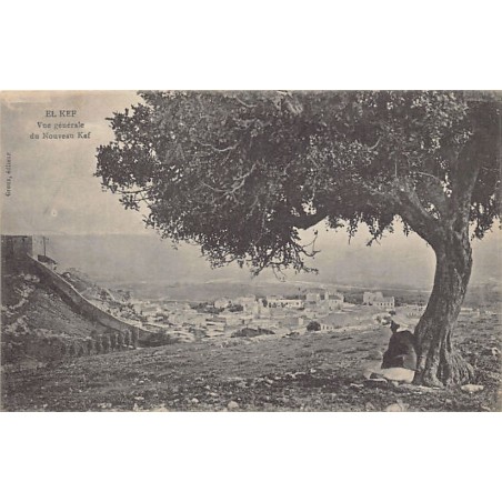 Rare collectable postcards of TUNISIE. Vintage Postcards of TUNISIE