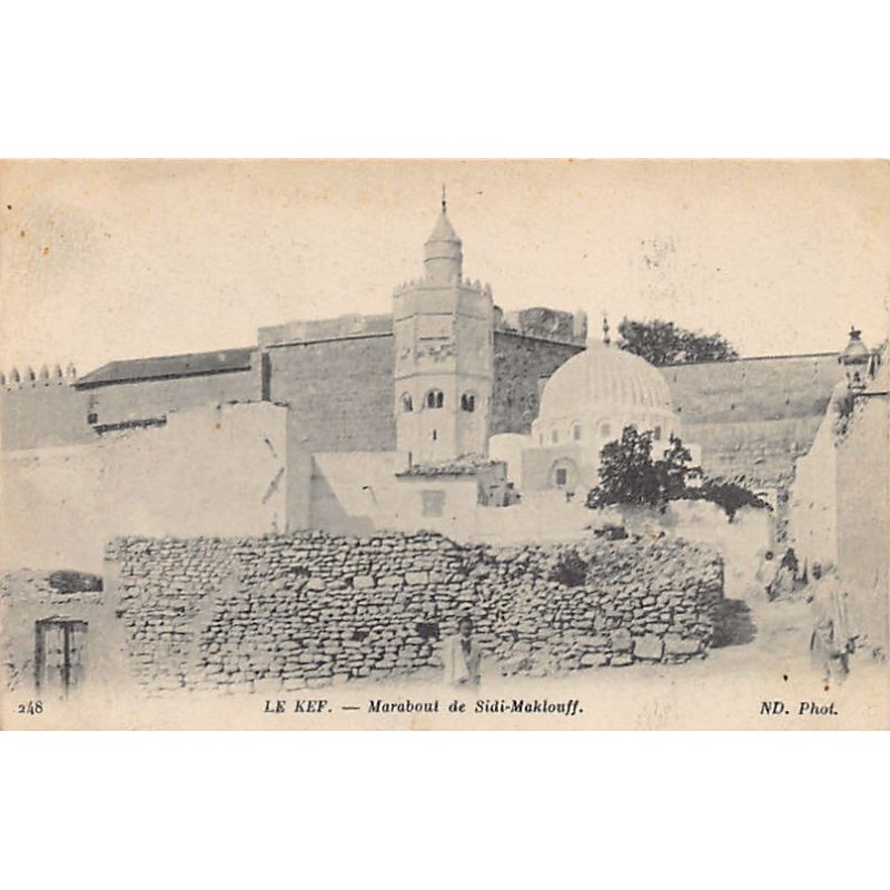 Rare collectable postcards of TUNISIE. Vintage Postcards of TUNISIE