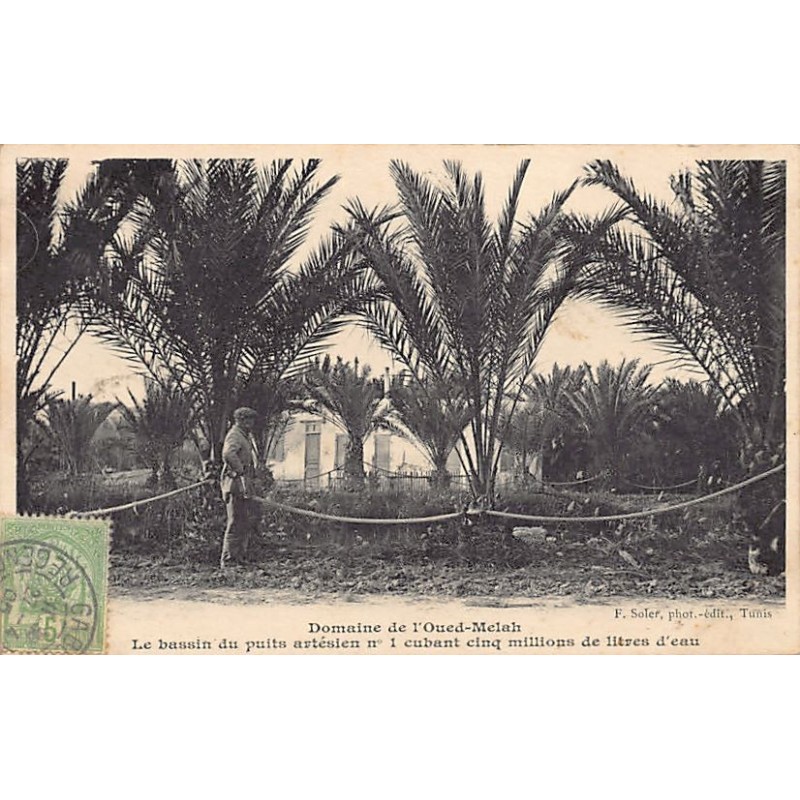 Rare collectable postcards of TUNISIE. Vintage Postcards of TUNISIE